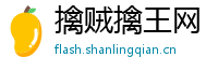 擒贼擒王网